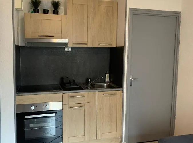 Bel Appartement 4-6 Couchages, En Bord De Mer, Acces Direct A La Plage